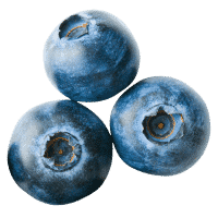 Image of Blueberries for the Printable Menus Button